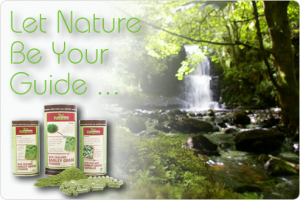 Trevor Gunn - Superfoods by Creative Nature